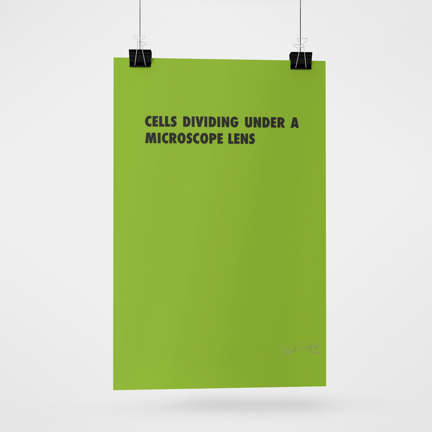 CELLS